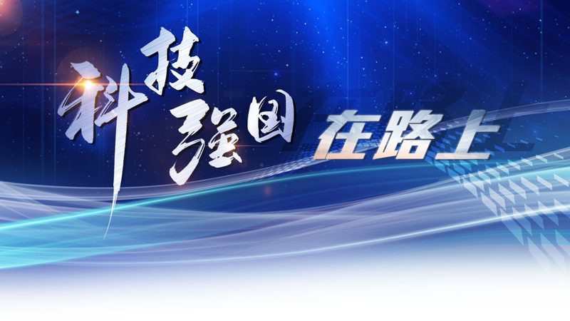 数据治理，生命线上的守护者：生命周期管理软件揭秘